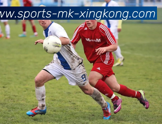 多媒体互动体验