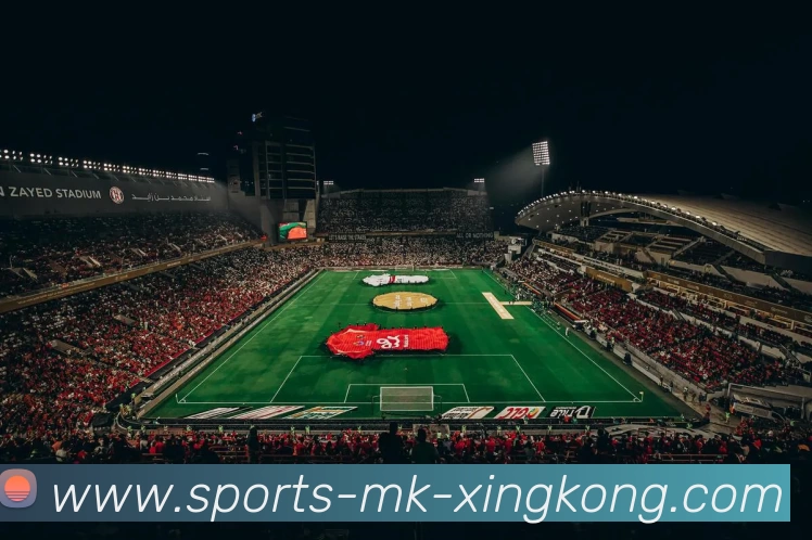 星空体育官网APP 体育赛事宣传图